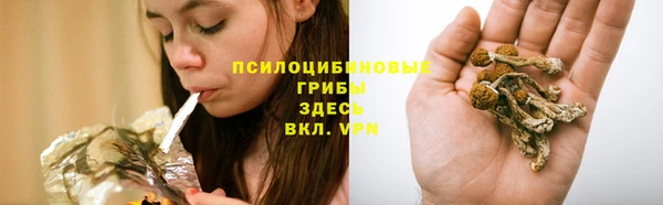 МДПВ Верея