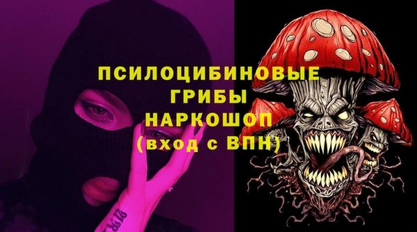 МДПВ Верея
