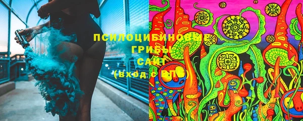 МДПВ Верея